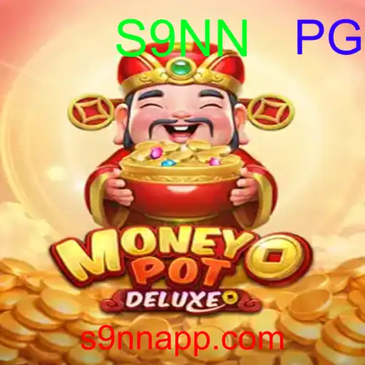 MoneyPotDELUXE
